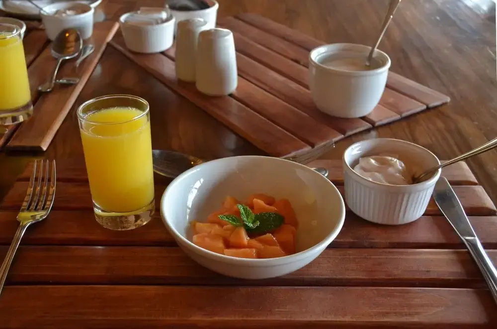 Masorini Bush Lodge - Général