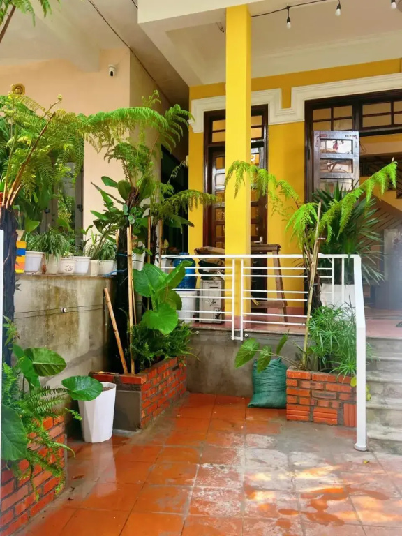 The Dreamers Hostel
