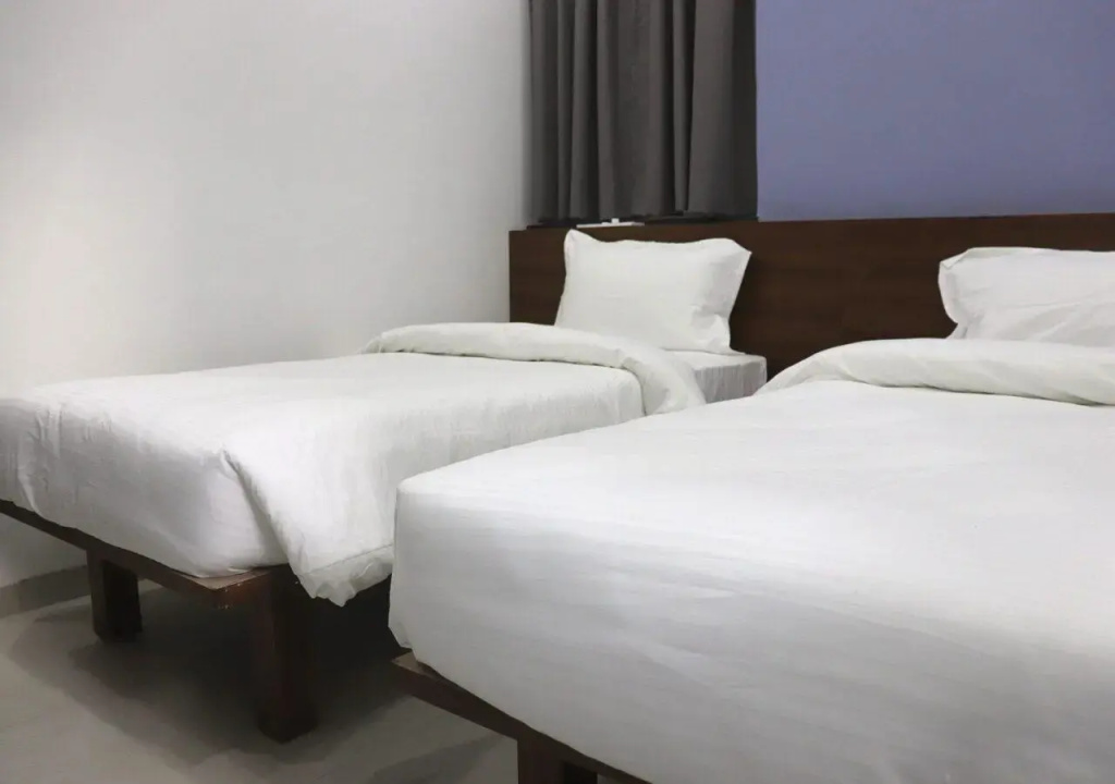 Standard Double room (twin beds)
