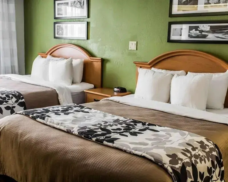 Quadruple Suite