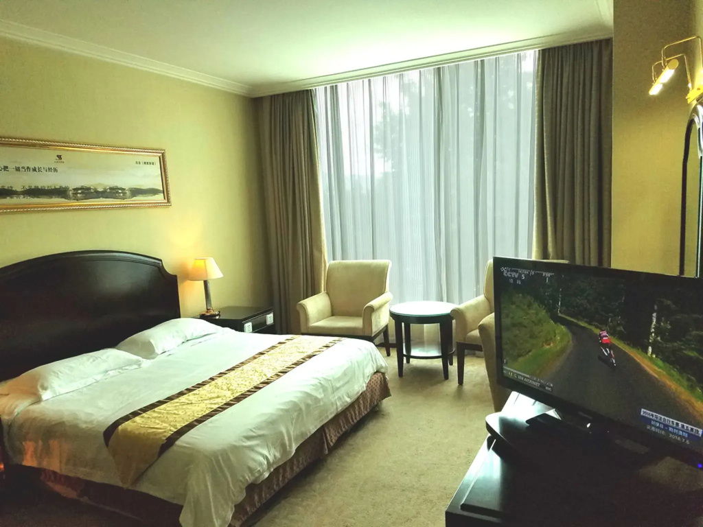 Swan Hotel - Chambres