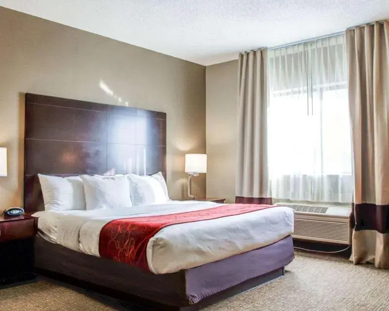 Comfort Suites Lombard - Addison - Chambres