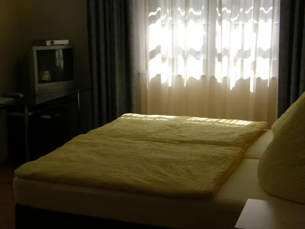 Hotel Pension zu Dresden Altpieschen - Chambres