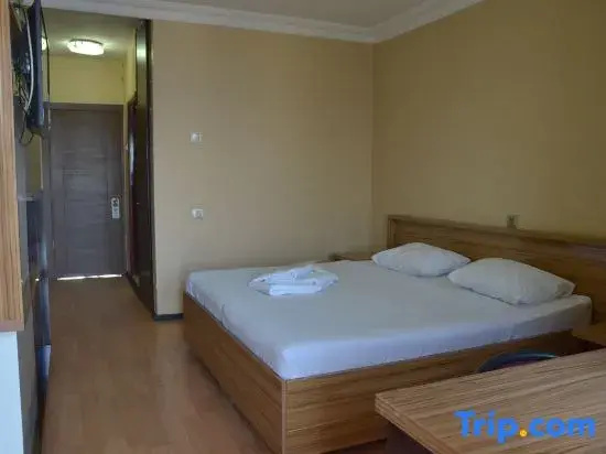 Standard room with balcony and with sea view