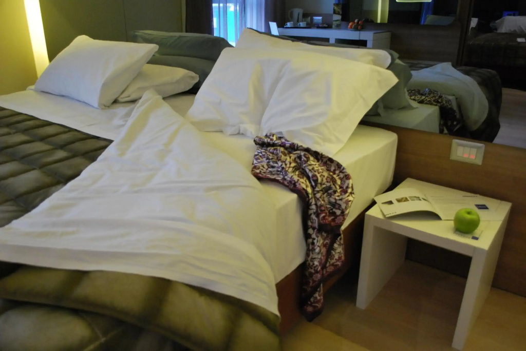 Idea Hotel Plus Savona - Général