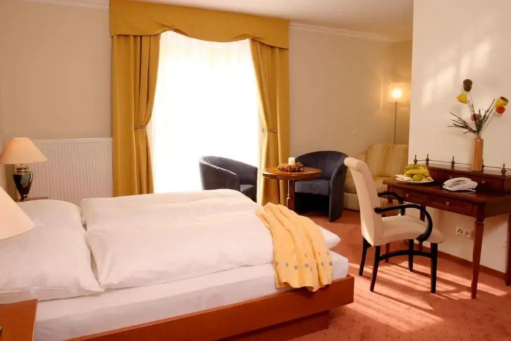Standard Double room (full double bed)