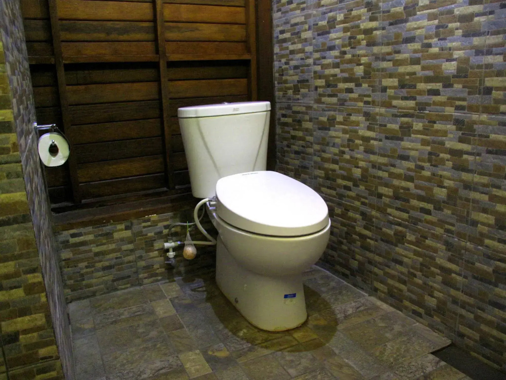 DMas Huts Lembongan - Général