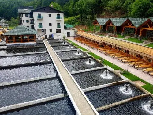 Complex Lostrita