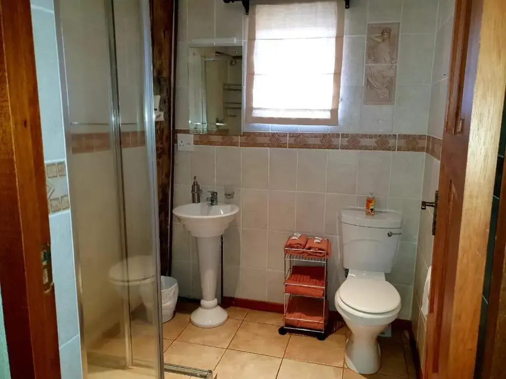 Deluxe Double room (twin beds)