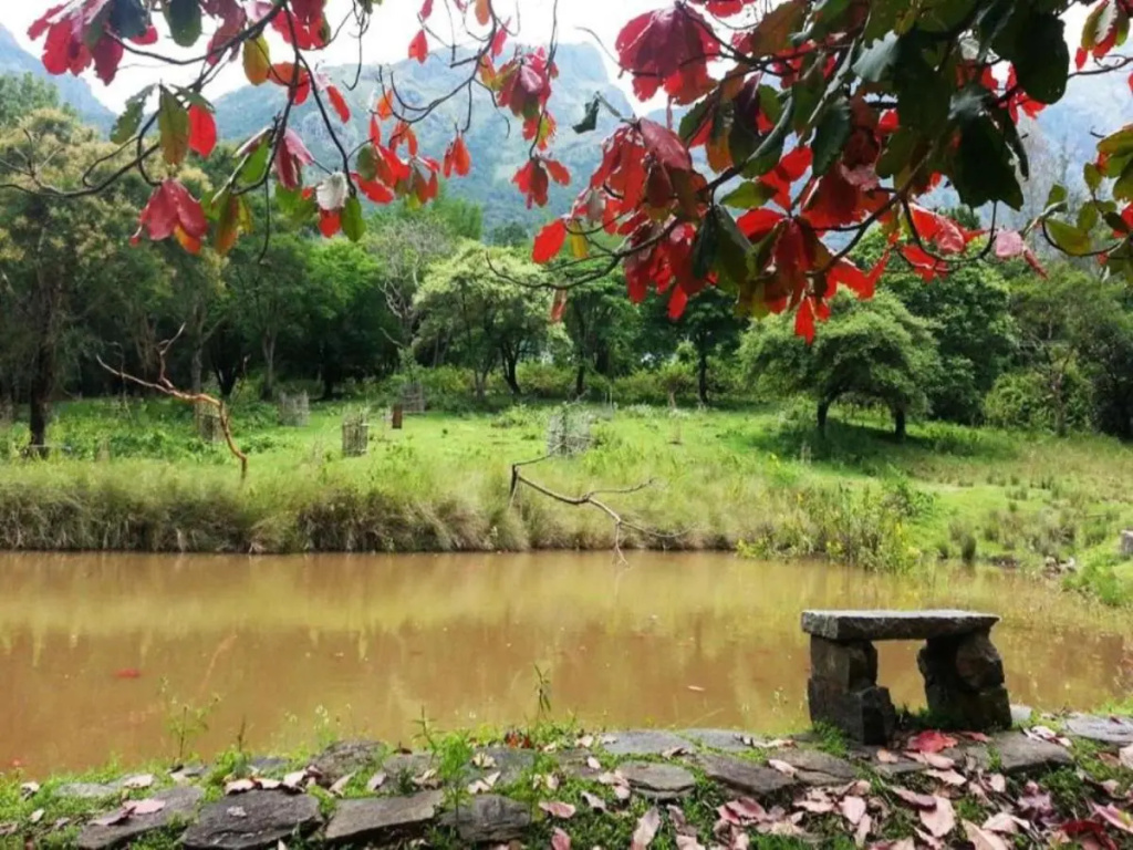 Jungle Hut Resorts - Général