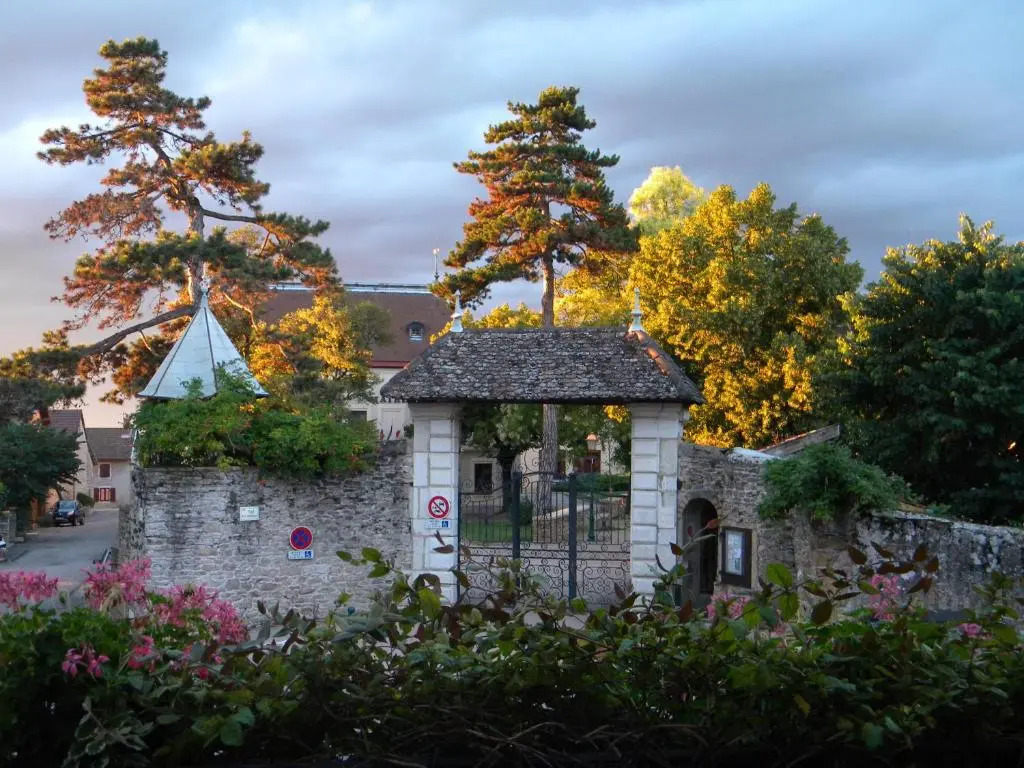 Image 15