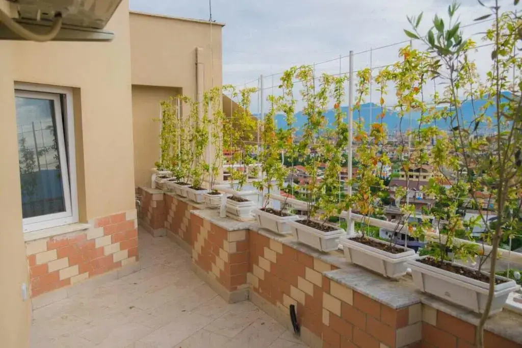 Modern Furnished Apartment with View
