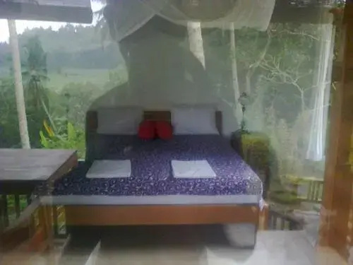Spa & Wellness