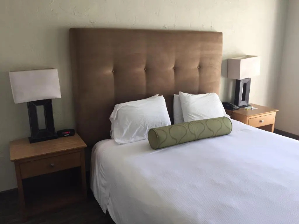 Surfer Beach Hotel - Chambres