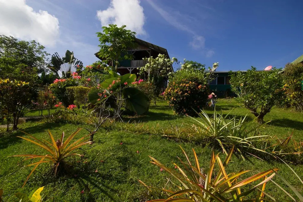 Hotel El Mirador Osa - фото 9