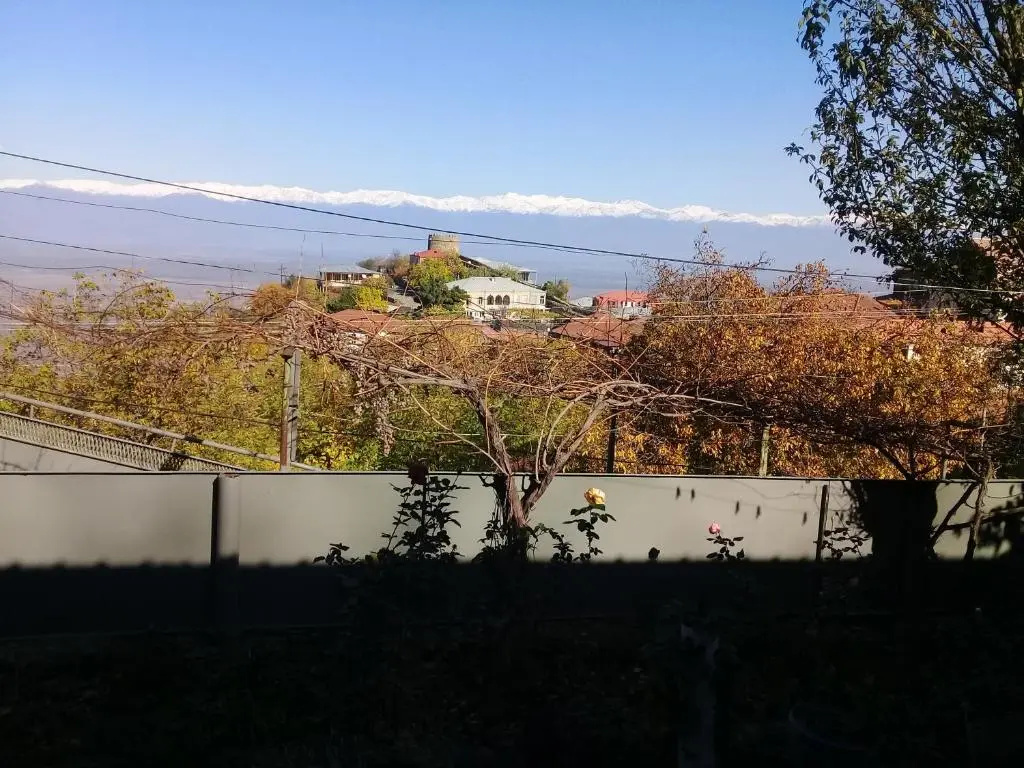 Apartment Giorgi in Sighnaghi