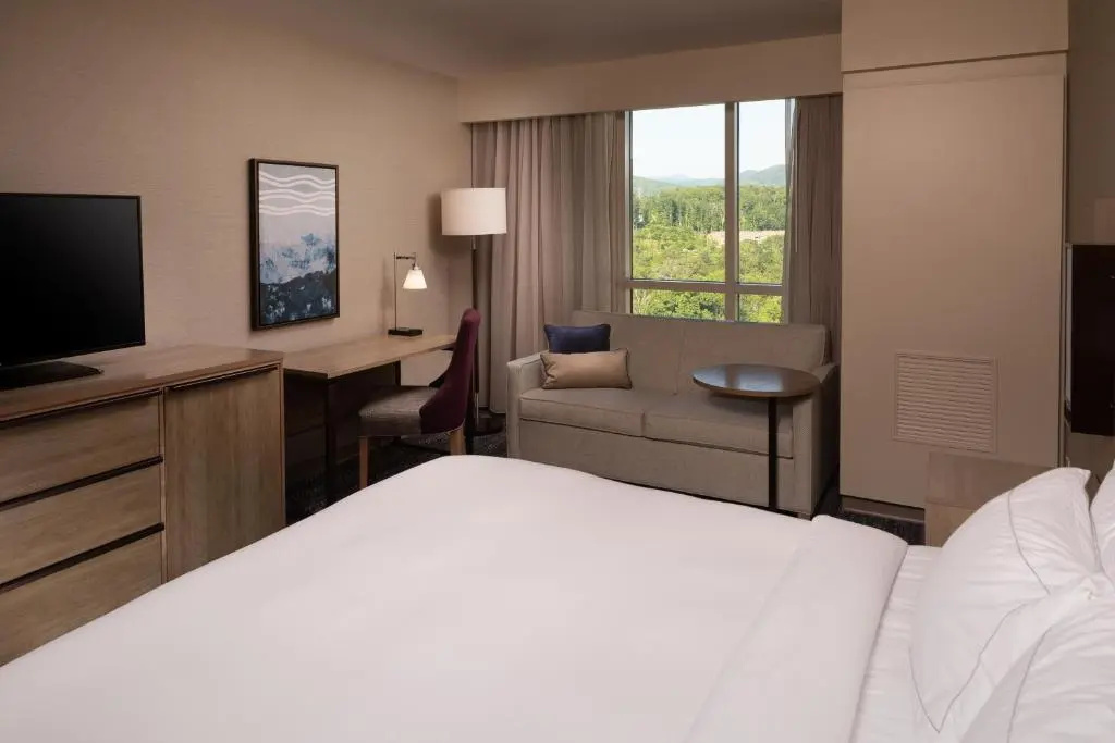 Hilton Asheville Biltmore Park - Chambres