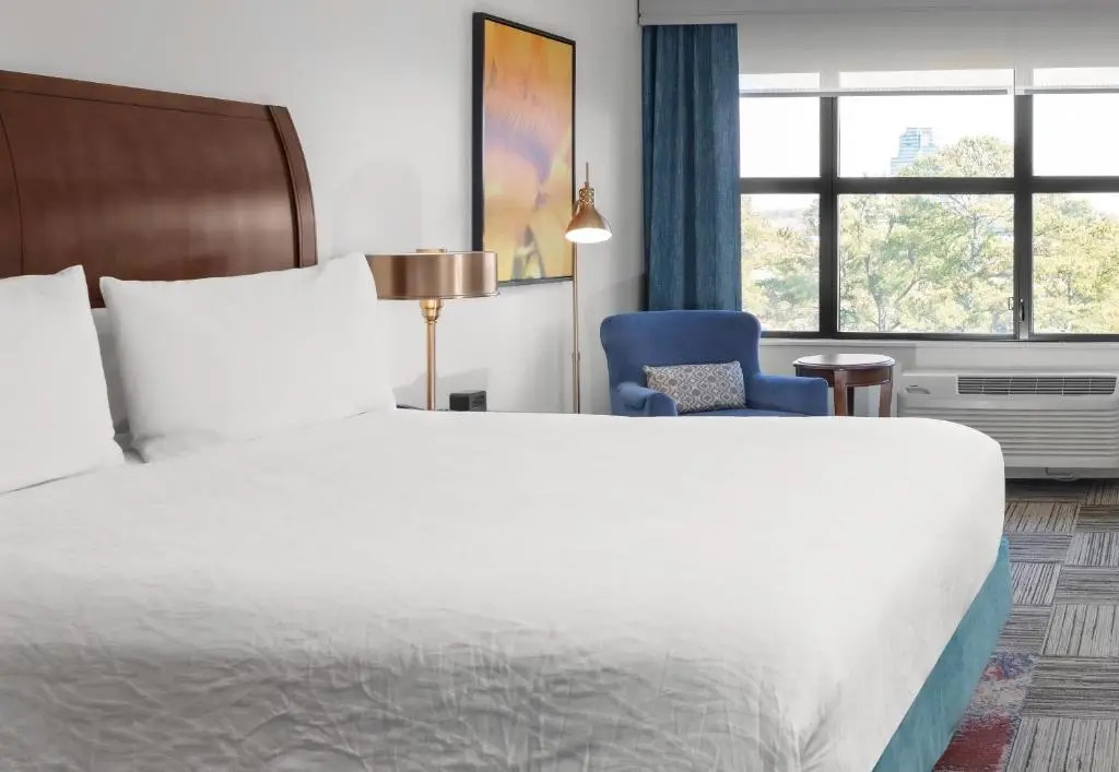 Hilton Garden Inn Atlanta Perimeter Center - Chambres