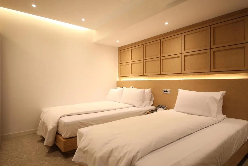 Deluxe Double room (twin beds)