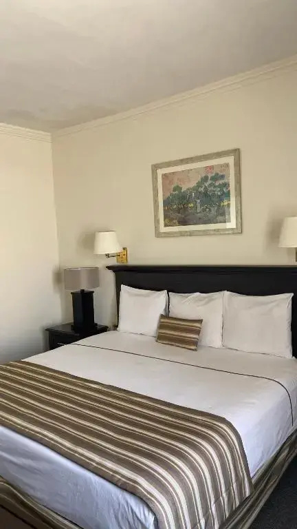 Hotel Zafra - Chambres