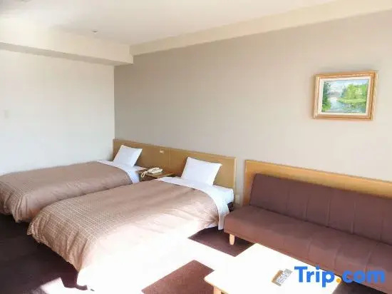 Standard Double room with mountain view (twin beds)