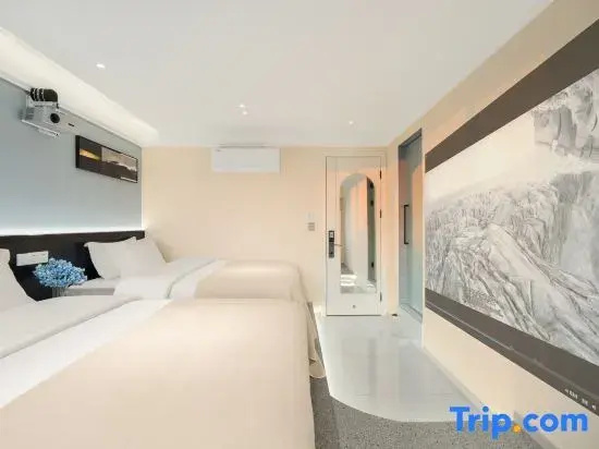 Standard Double room with city view (twin beds)