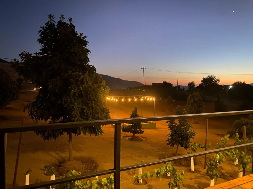 Hotel photo 36