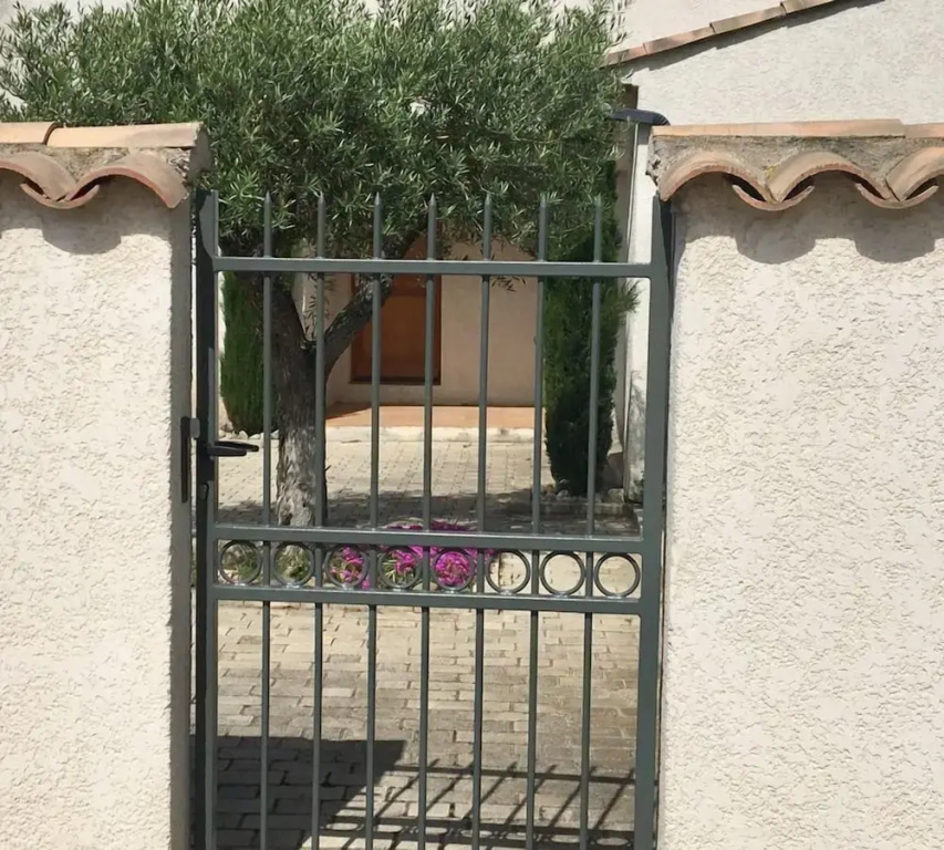 Cyprès et Galets