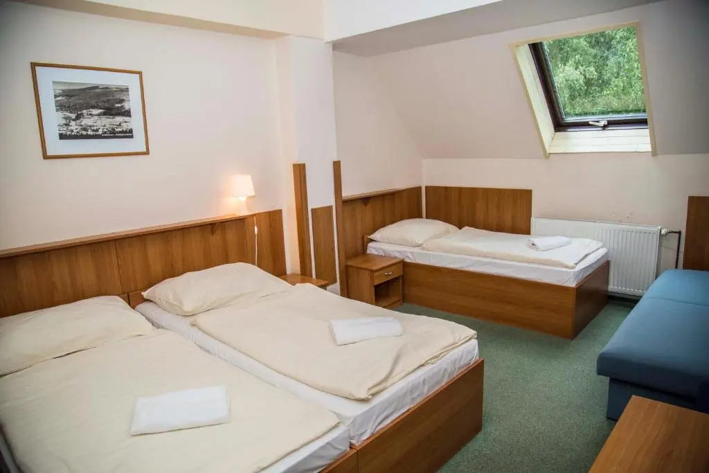 Parkhotel Harrachov - Chambres