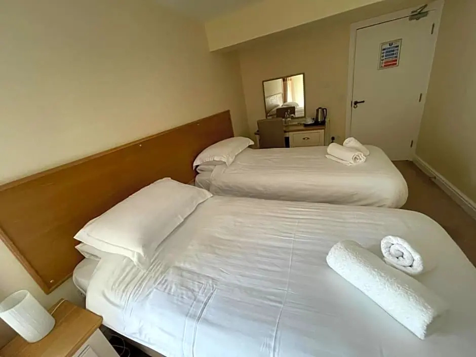 Deluxe Double room (twin beds)