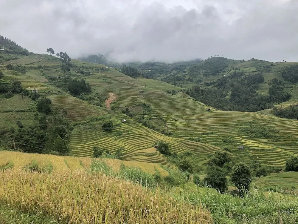Do Gu Homestay