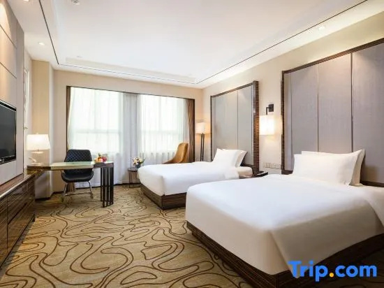 Superior Double room (twin beds)