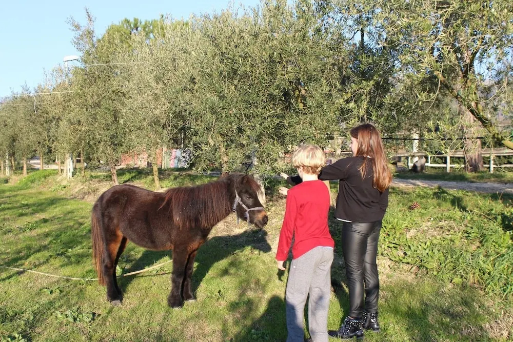 Agriturismo Pony Ranch - 1