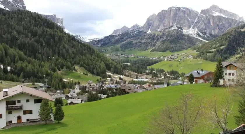 Albergo Alisander - Général