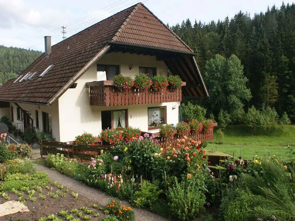 Haus am Kaltenbach - Général