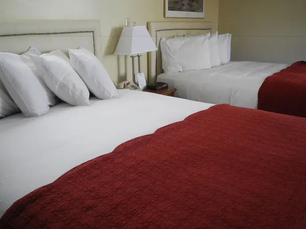 Wilson Lake Inn - Chambres