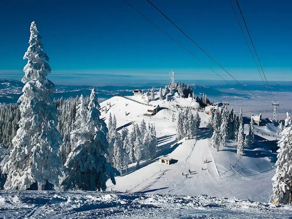 Alpin Aparthotel 2302