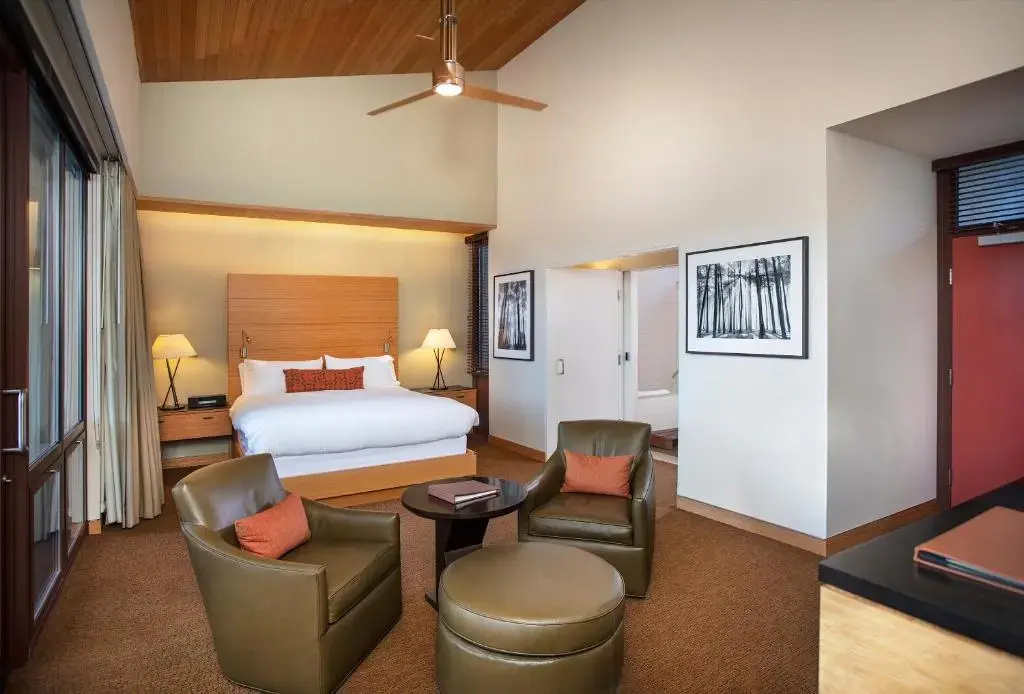 Contemporary Deluxe Double room (full double bed)