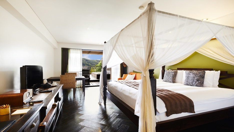 Standard Double room with ocean view (full double bed)