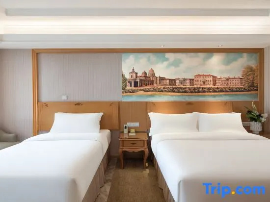 Vienna International Hotel Shenzhen Guangming Avenue - Chambres