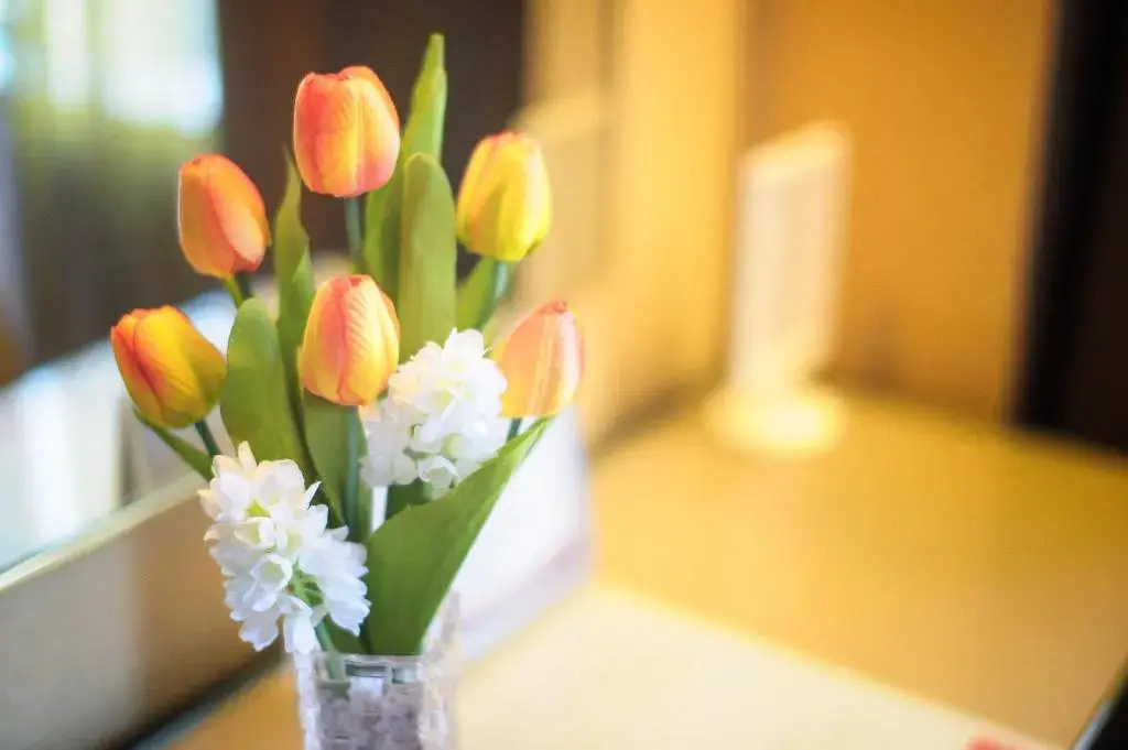 Best Western Plus Tsim Sha Tsui - Chambres