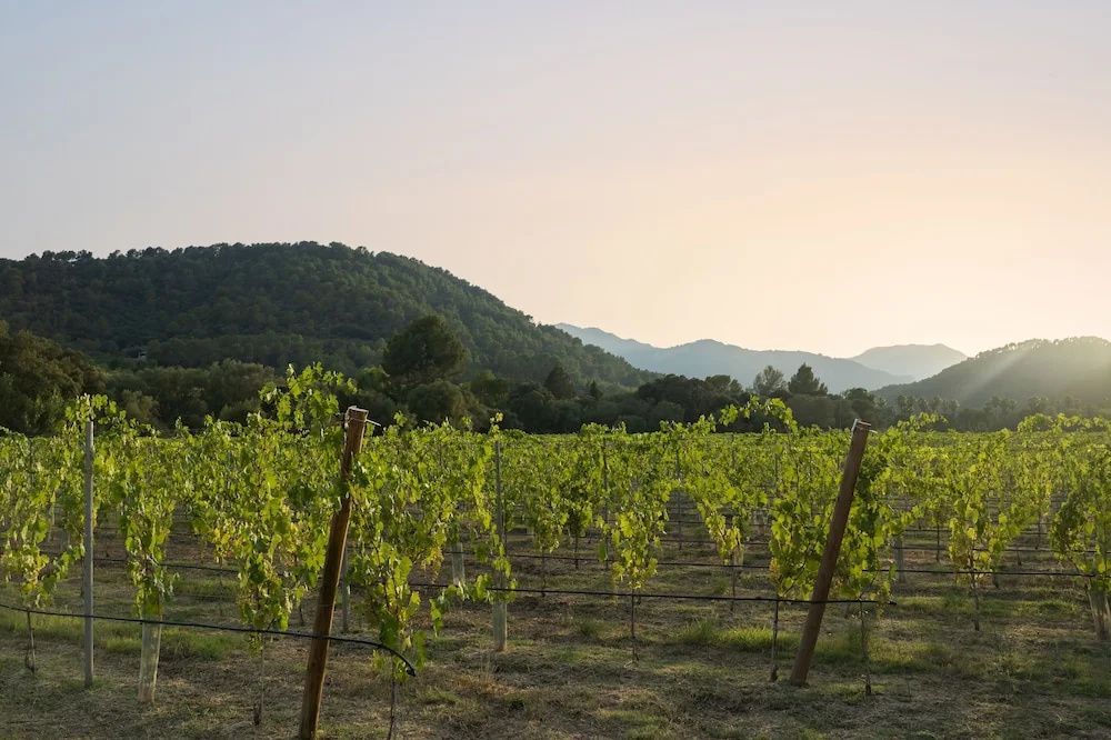 Rondaia Boutique Vineyard Stay – Mallorca, Tramuntana