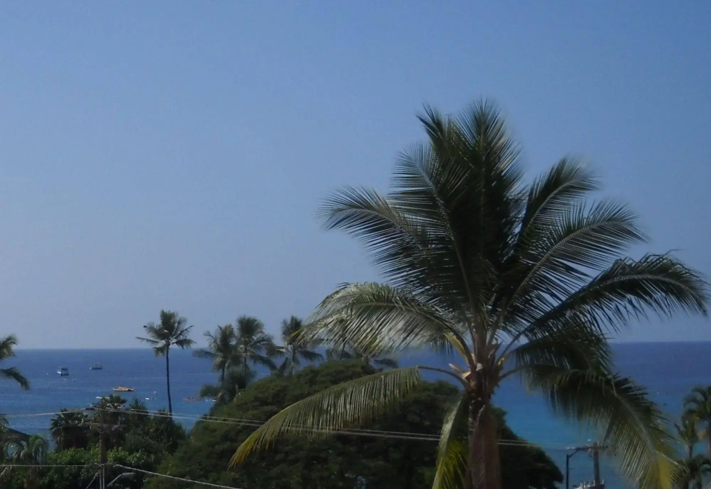 Kona West - Général