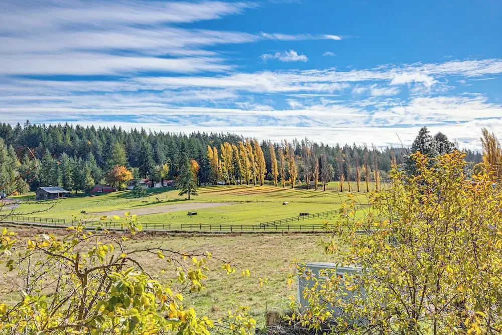 Hikes & Apples: Renovated Farmhouse in Gig Harbor!