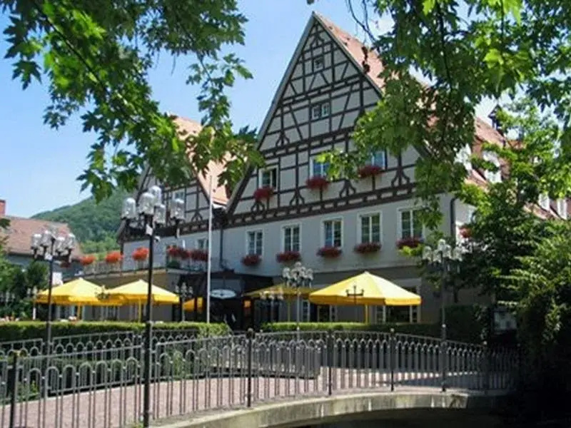 Bad Hotel - Général