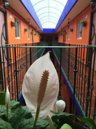 Hotel La Cabaña - Général