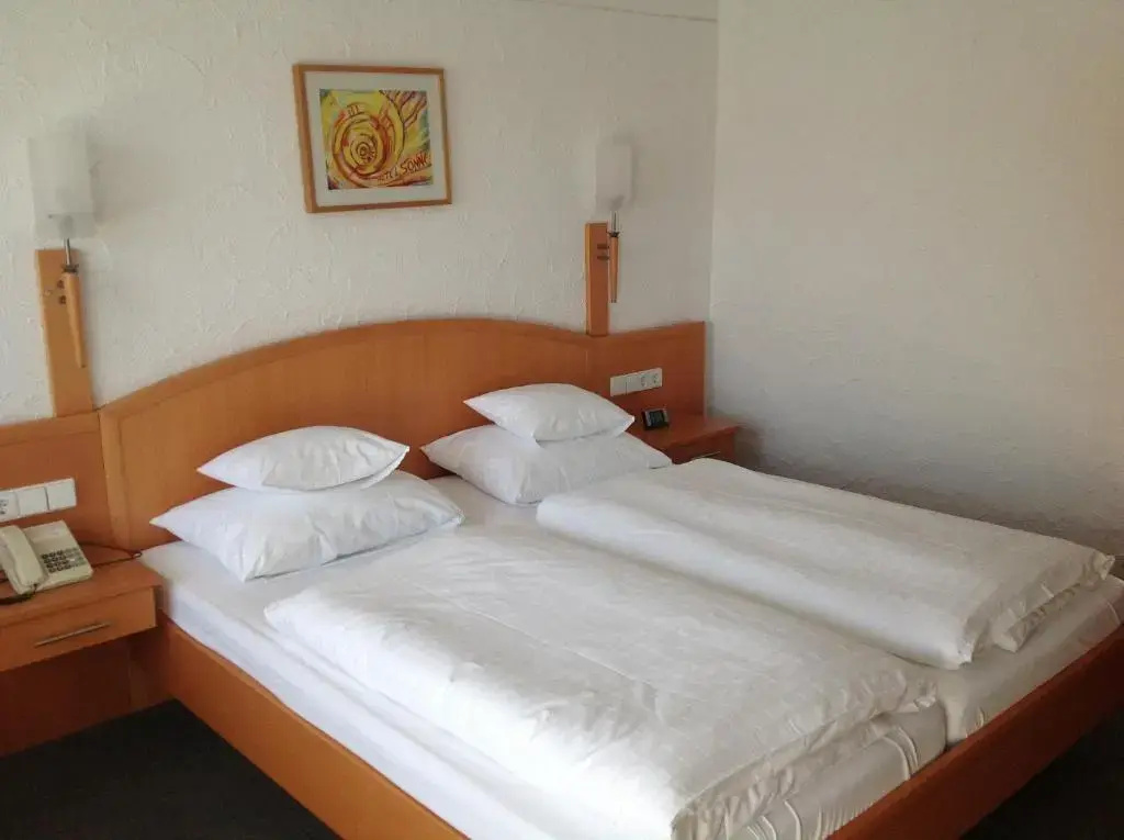 Standard Double room (full double bed)