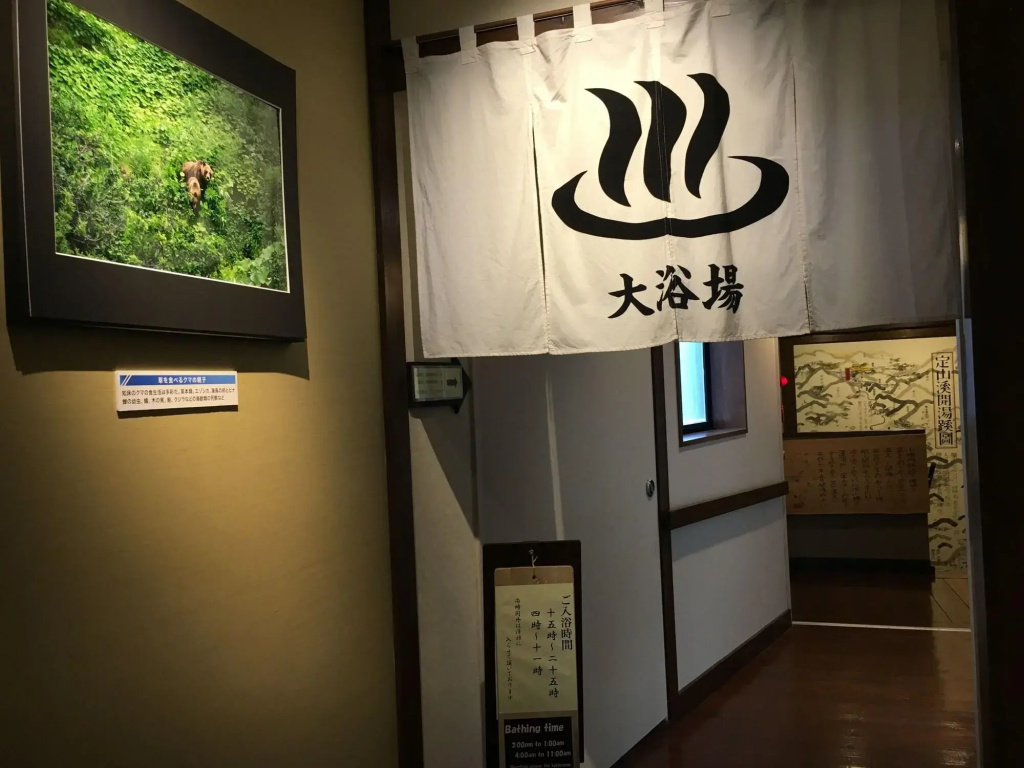 Otaru Furukawa Hotel - Général