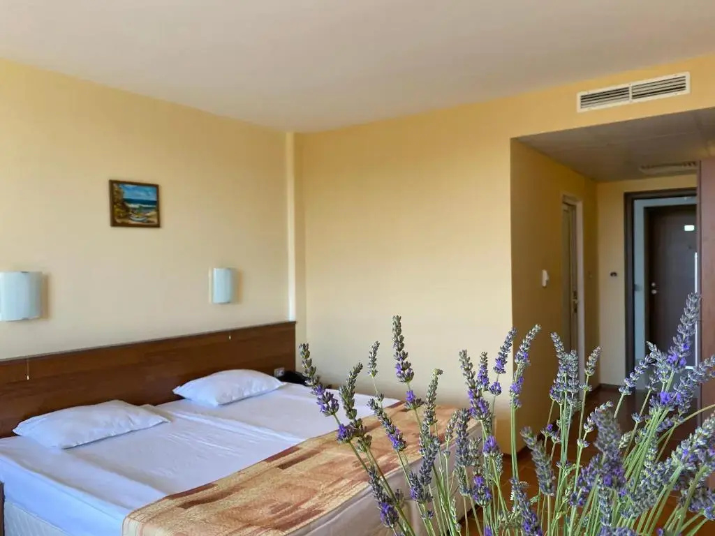 Plamena Palace - Chambres