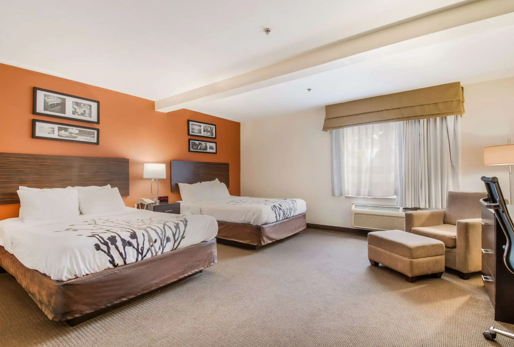 Standard Quadruple room